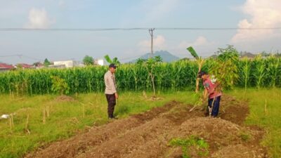 Sinergi Polri dan Petani, Polsek Labuapi Optimalkan Sektor Pertanian Demi Ketahanan Pangan