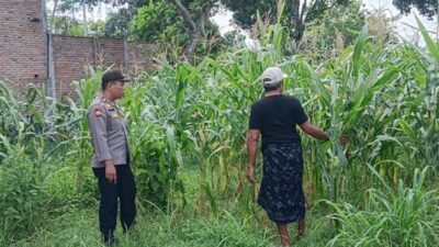 Bhabinkamtibmas Karang Bongkot Kawal Ketahanan Pangan Nasional