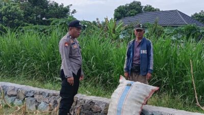 Aksi Nyata Polsek Labuapi Kawal Kedaulatan Pangan, Borong Semangat Petani di Sawah