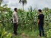 Polsek Labuapi Dampingi Petani Lokal Perkuat Ketahanan Pangan Desa