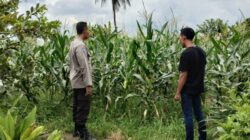 Polsek Labuapi Dampingi Petani Lokal Perkuat Ketahanan Pangan Desa