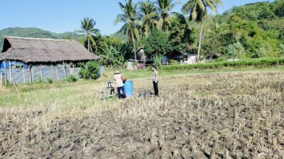 Antisipasi Gagal Panen, Bhabinkamtibmas Kuripan Edukasi Teknik Semprot Bibit Jagung