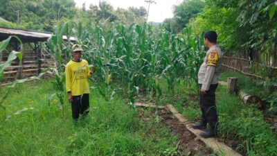 Pendampingan petani oleh Bhabinkamtibmas wujud komitmen polri untuk ketahanan pangan