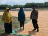 Bhabinkamtibmas Desa Mbuju Dampingi Petani Pascapanen Jagung, Dorong Ketahanan Pangan Keluarga