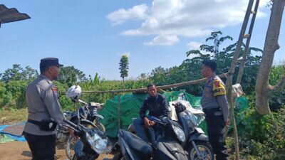 Antisipasi Maraknya Pencurian Biji Jambu Polsek Tambora Gelar Patroli Ke Lahan Perkebunan Warga