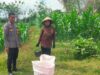 Dukung Program Asta Cita Presiden RI, Bhabinkamtibmas Desa Mokong Sambangi Petani di Persawahan