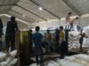 Dukung Ketahanan Pangan Nasional, Bhabinkamtibmas Polres Bima Kota Monitor Pembongkaran Jagung di Gudang Subur