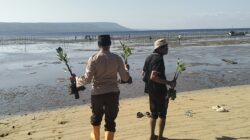 Wakapolsek Moyo Hilir Hadiri Penanaman Pohon Mangrove dan Apel Gladi Kesiapsiagaan Bencana di Pungkit
