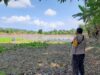 Tinjau Lahan Petani di Desa Moyo, Bhabinkamtibmas Gali Kendala Pertanian Demi Sukseskan Ketahanan Pangan
