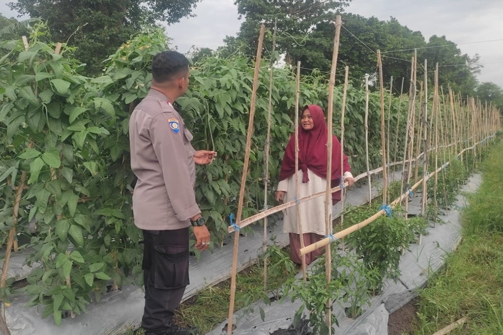 Cara Bhabinkamtibmas Polsek Labuapi Sukseskan Ketahanan Pangan Desa