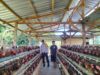 Dukung Program Ketahanan Pangan Bhabinkamtibmas Desa Sakra Selatan Monitoring