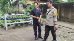 Wujudkan Kemandirian Pangan, Polsek Labuapi Dorong Warga Lombok Barat Tanam Sayur di Pekarangan