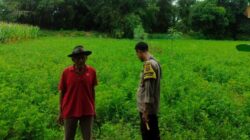Sinergi Polsek Labuapi dan Petani Jaga Ketahanan Pangan