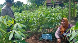 Strategi Polsek Labuapi Wujudkan Ketahanan Pangan dan Tekan Belanja Bulanan Warga