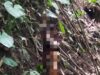 Polresta Loteng Olah TKP Penemuan Mayat Tergantung di Kawasan Hutan BKU. ‎