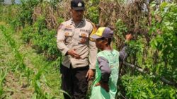 Optimalkan Pekarangan Rumah, Polsek Labuapi Pendampingan Petani Lokal dan Warga Binaan