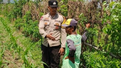 Optimalkan Pekarangan Rumah, Polsek Labuapi Pendampingan Petani Lokal dan Warga Binaan