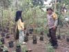 Sinergi Polsek Labuapi dan Petani Lombok Barat Perkuat Ketahanan Pangan Nasional