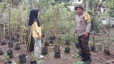 Sinergi Polsek Labuapi dan Petani Lombok Barat Perkuat Ketahanan Pangan Nasional
