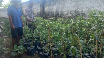 Bhabinkamtibmas Desa Suwangi Timur Sambangi Warga Dusun Turun Tangis, Ajak Masyarakat Bersama Jaga Kamtibmas