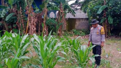 Wujudkan Ketahanan Pangan Desa, Polsek Labuapi Pererat Sinergi Bersama Petani Lombok Barat