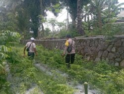 Bhabinkamtibmas Desa Kesik Cek Lahan Ketahanan Pangan Bergizi, Dorong Produktivitas Warga