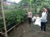 Memperkuat Ketahanan Pangan Desa, Bhabinkamtibmas Gerung Dorong Warga Manfaatkan Lahan Pekarangan