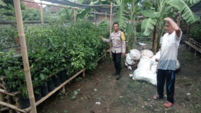 Solusi Keterbatasan Lahan, Bhabinkamtibmas Gerung Edukasi Warga Tanam Sayur Menggunakan Polybag