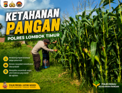 Bhabinkamtibmas Desa Paokmotong Monitoring Pekarangan Pangan Bergizi, Dukung Swasembada Pangan Nasionalmatis