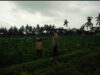 Bhabinkamtibmas Desa Masbagik Selatan Cek Lahan P2B, Dorong Ketahanan Pangan dan Kesejahteraan Masyarakat