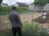 Bhabinkamtibmas Masbagik Utara Baru Sambangi Warga, Monitoring Ketahanan Pangan dan Ajak Masyarakat Jaga Kamtibmas