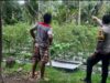 Bhabinkamtibmas Desa Kumbang Monitoring Ketahanan Pangan dan Ajak Masyarakat Jaga Kamtibmas