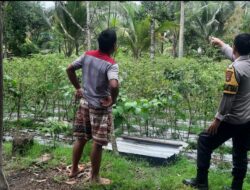 Bhabinkamtibmas Desa Kumbang Monitoring Ketahanan Pangan dan Ajak Masyarakat Jaga Kamtibmas