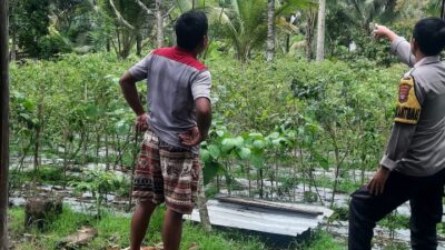 Bhabinkamtibmas Desa Kumbang Monitoring Ketahanan Pangan dan Ajak Masyarakat Jaga Kamtibmas