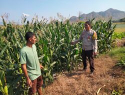 Polsek Pekat Bersama Balai Taman Nasional Tambora Berikan Pembinaan kepada Warga Terkait Pembukaan Lahan di Kawasan Hutan
