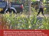 Mendukung Program Ketahanan Pangan, Polsek Widang Patroli Kawasan Lahan Pertanian Jagung