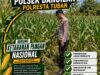 BHABINKAMTIBMAS POLSEK BANGILAN LAKSANAKAN MONITORING TANAMAN JAGUNG DALAM RANGKA MENDUKUNG KETAHANAN PANGAN NASIONAL
