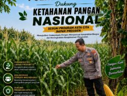 Dukung Astacita, Polsek Palang Polresta Tuban Pantau Langsung Lahan Jagung milik warga Desa Dawung