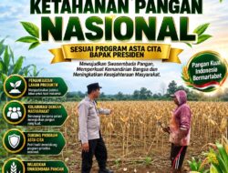 Polsek Plumpang Polresta Tuban Turun Langsung Cek Tanaman Jagung Warga