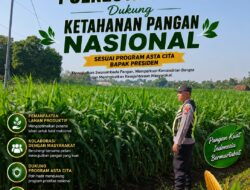 Polri Dukung Astacita, Polsek Semanding Polresta Tuban Turun Cek Tanaman jagung milik Warga di Desa Sambongrejo