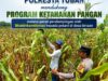 Dalam Rangka Mendukung Ketahanan Pangan Nasional Anggota Bhabinkamtibmas Polsek Senori Polresta Tuban Monitoring Kondisi Tanaman Jagung di Desa Wanglukulon