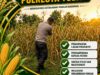 POLSEK TUBAN DUKUNG KETAHANAN PANGAN NASIONAL MELALUI PENGECEKAN TANAMAN JAGUNG
