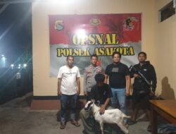 Respons Cepat Polsek Asakota Ungkap Pencurian Dua Ekor Kambing, Satu Pelaku Dibekuk