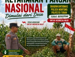 Polsek Montong Polresta Tuban Turun Cek Tanaman jagung Warga di Desa Ngulahan