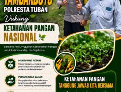 Polsek Tambakboyo Polres Tuban Turun Cek Tanaman jagung Warga di Desa Ngulahan