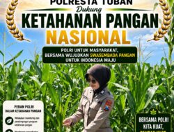 Polsek Soko Polresta Tuban Turun Langsung Cek Tanaman Jagung Warga
