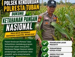 Polisi RW Polsek Kenduruan Polresta Tuban Cek Lahan Jagung Warga, Wujud Nyata Dukung Ketahanan Pangan Nasional