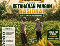 Polisi Polsek jenu Polres Tuban Turun ke Ladang, Dampingi Petani Jagung Dukung Ketahanan Pangan