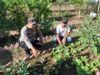 Dukung Ketahanan Pangan Nasional, Bhabinkamtibmas Kelurahan Brang Biji Sambangi Petani dan Ajak Manfaatkan Pekarangan