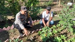 Dukung Ketahanan Pangan Nasional, Bhabinkamtibmas Kelurahan Brang Biji Sambangi Petani dan Ajak Manfaatkan Pekarangan